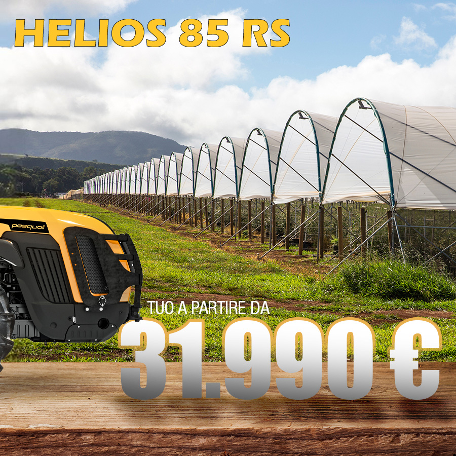 Pasquali HELIOS 85 RS a partire da € 31.990